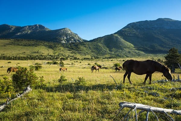 Velebit Naturpark, Kroatien