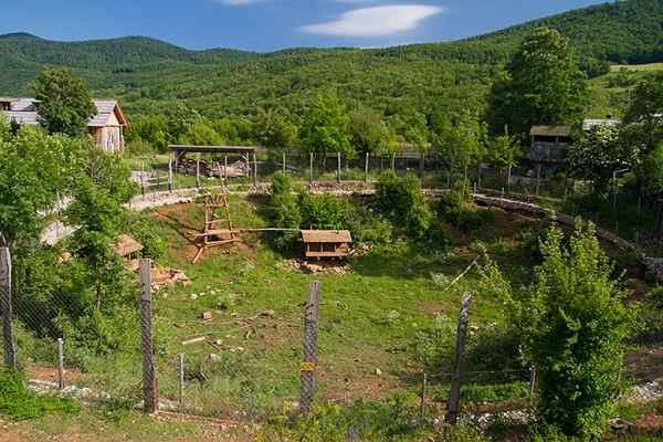 Zuflucht für Bären Kuterevo, Kroatien